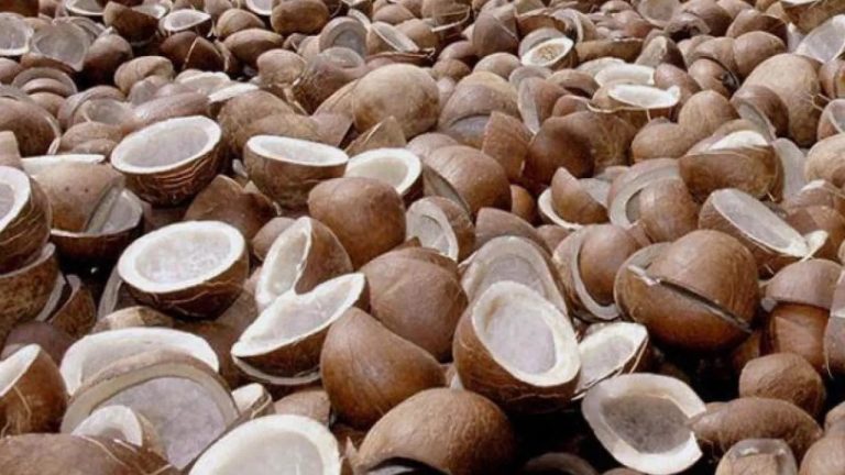 ಕ್ವಿಂಟಲ್ ಕೊಬ್ಬರಿಗೆ ೧೩,೫೦೦ ಬೆಂಬಲ ಬೆಲೆ