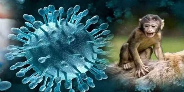 ಕೆಎಫ್‌ಡಿ ಸೋಂಕು: ಬಾಲಕ ಸಾವು