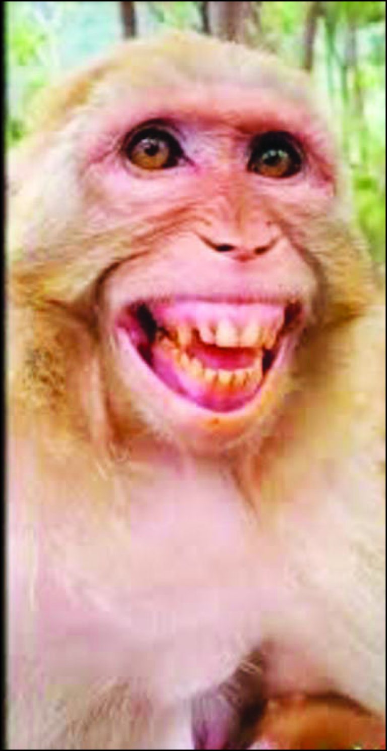 ಪಕ್ಷಾಂತರದ ಗುಟ್ಟು ದೇವರ ಸಿಟ್ಟು