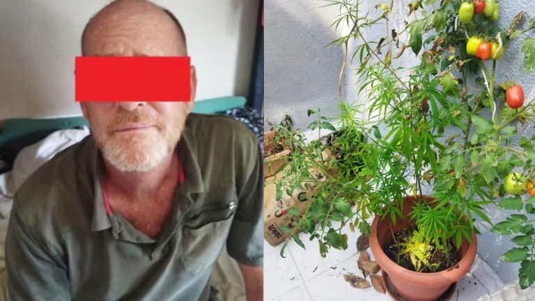 ಟೆರೇಸ್ ಮೇಲೆ ಗಾಂಜಾ ಕೃಷಿ: ಬ್ರಿಟಿಷ್ ಪ್ರಜೆ ಬಂಧನ