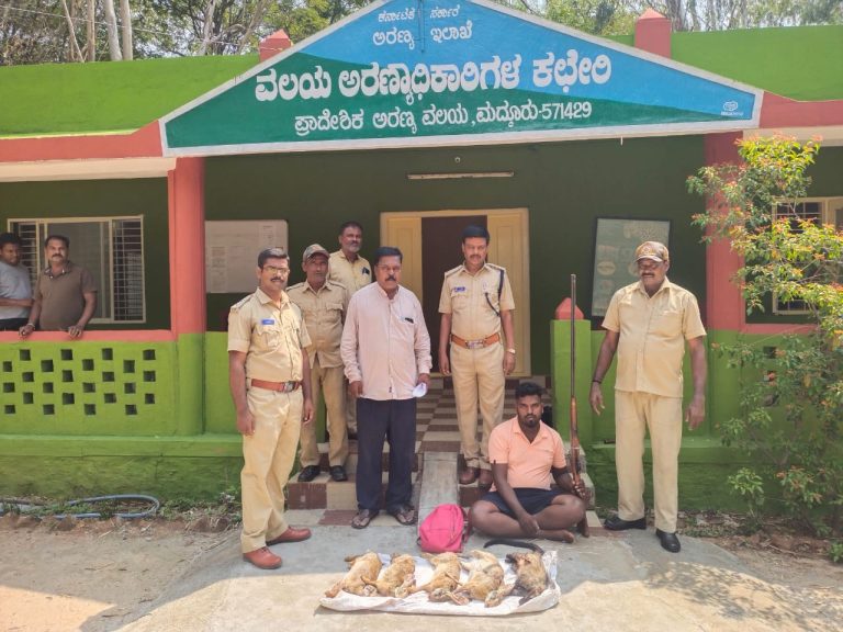 ಕಾಡುಪ್ರಾಣಿಗಳ ಭೇಟೆಯಾಡುತ್ತಿದ್ದ ವ್ಯಕ್ತಿ ಬಂಧನ