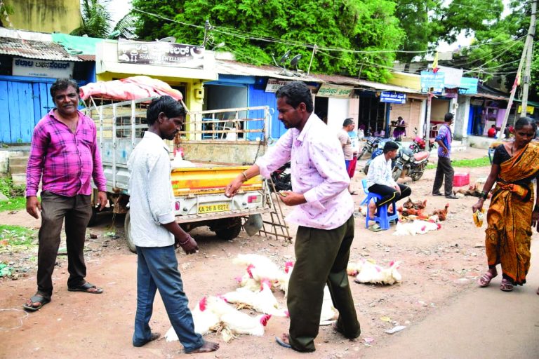 ದಂಡಿನ ದುರ್ಗಮ್ಮನ ಜಾತ್ರೆ: ಸಹಸ್ರಾರು ಪ್ರಾಣಿ ಬಲಿ ಇಂದು?