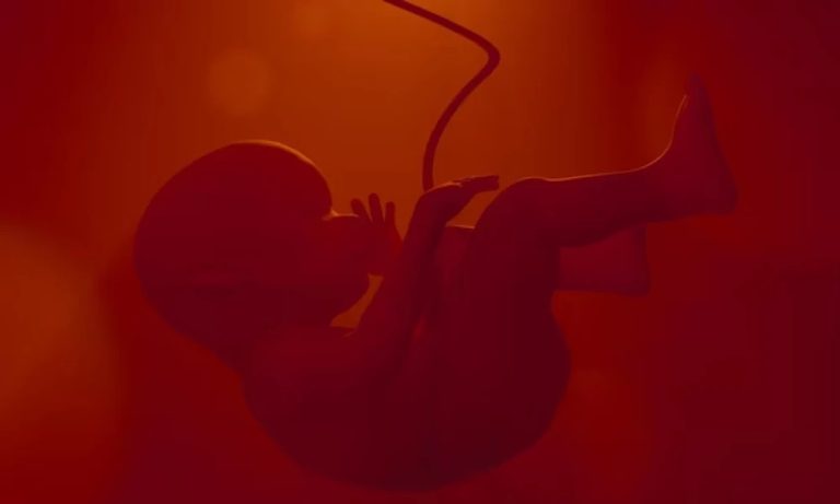 ಮೆಡಿಕಲ್‌ ಸ್ಟೋರ್‌ಗಳ ಕಳ್ಳದಂಧೆ ಬೆಳಕಿಗೆ