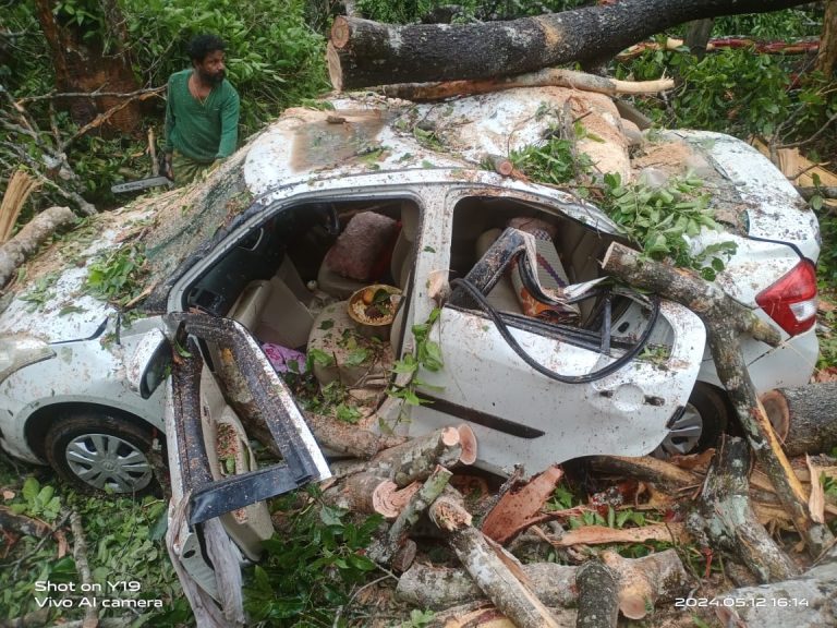 ಭಾರೀ ಮಳೆ: ಮರ ಬಿದ್ದು ಪಾದಚಾರಿ ಸಾವು