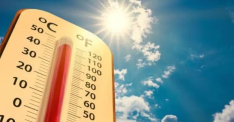 ಸೂರ್ಯನ ತಾಪಕ್ಕೆ ೫೦ ಬಲಿ