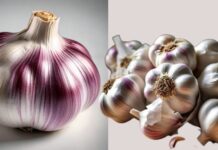 ಆರೋಗ್ಯವರ್ಧಕ ಬೆಳ್ಳುಳ್ಳಿ