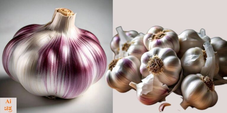 ಆರೋಗ್ಯವರ್ಧಕ ಬೆಳ್ಳುಳ್ಳಿ