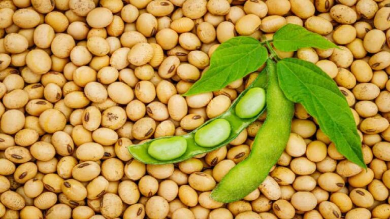 MSP ಅಡಿ ಉದ್ದು, ಸೋಯಾಬೀನ್ ಖರೀದಿಗೆ ಕೇಂದ್ರ ಅನುಮತಿ