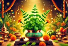 ಹಿಂದೂಗಳ ಪವಿತ್ರ ಹಬ್ಬ ತುಳಸಿ ವಿವಾಹ