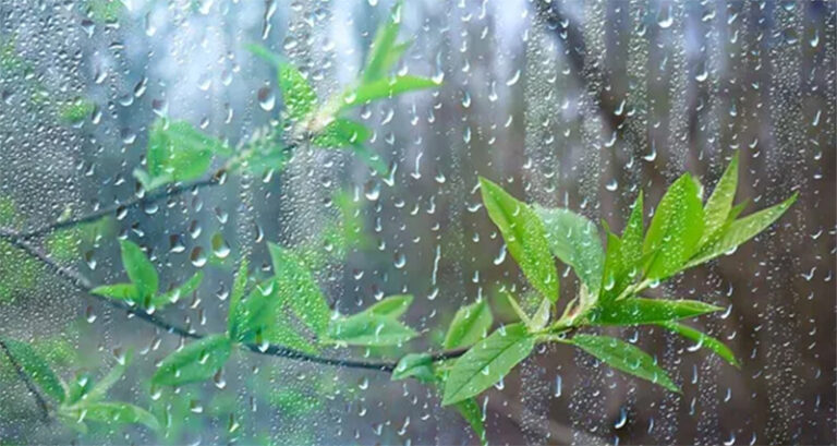 ದಾವಣಗೆರೆ ಜಿಲ್ಲೆಯಲ್ಲಿ ಗುಡುಗ ಸಹಿತ ಸುರಿದ ಮಳೆ