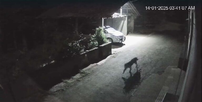 ಸಂಸದರ ಮನೆಗೆಯಂಗಳಕ್ಕೆ ಬಂದ ಅಪರೂಪದ ಅತಿಥಿ…!