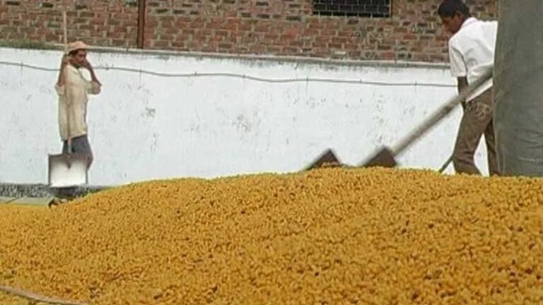 ರೈತರಿಗೆ ಗುಡ್‌ ನ್ಯೂಸ್‌: ಬೆಂಬಲ ಬೆಲೆ ತೊಗರಿ ಖರೀದಿ ಅವಧಿ ವಿಸ್ತರಣೆ