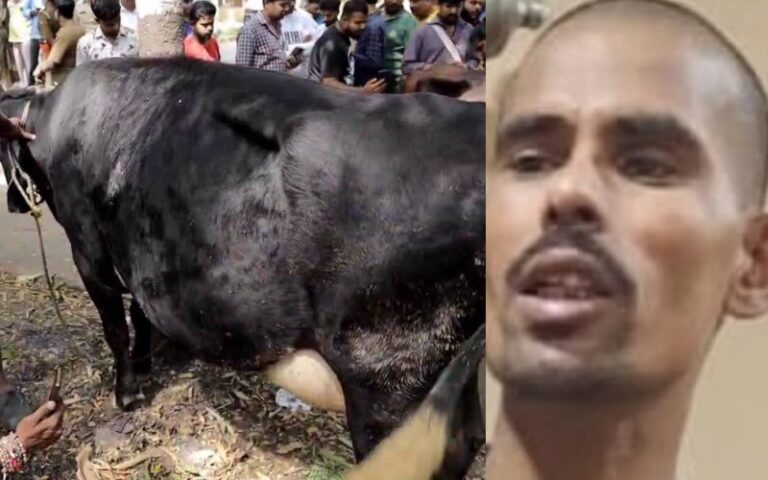 ಗೋವಿನ ಕೆಚ್ಚಲು ಕತ್ತರಿಸಿದಾತ ವಿಚಿತ್ರ ಮನಸ್ಸಿನ ವಿಕ್ಷಿಪ್ತ ವ್ಯಕ್ತಿ