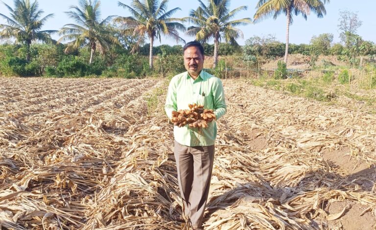ಅರಿಸಿನಕ್ಕೆ ದಾಖಲೆಯ ಬೆಲೆ: ಬೆಳೆಗಾರನ ದಿಲ್‌ ಖುಷ್