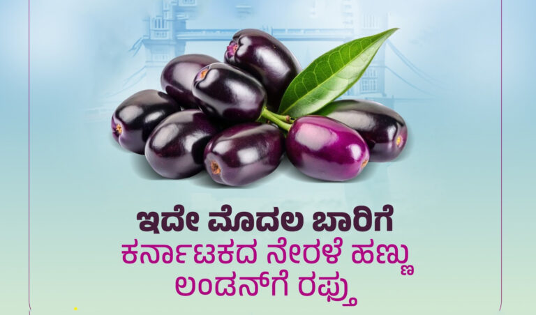 ಕರ್ನಾಟಕದ ನೇರಳೆ ಲಂಡನ್‌ಗೆ