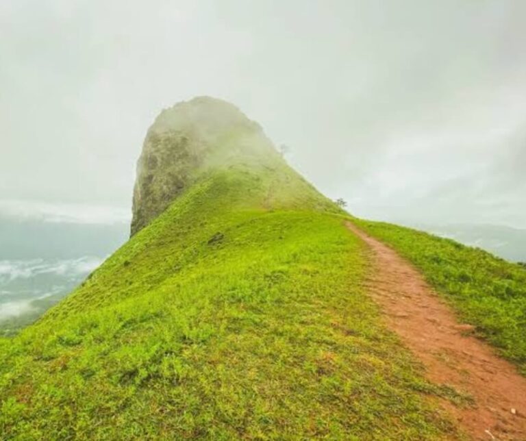 ಎತ್ತಿನಭುಜ ಚಾರಣಕ್ಕೆ ತಾತ್ಕಾಲಿಕ ನಿಷೇಧ