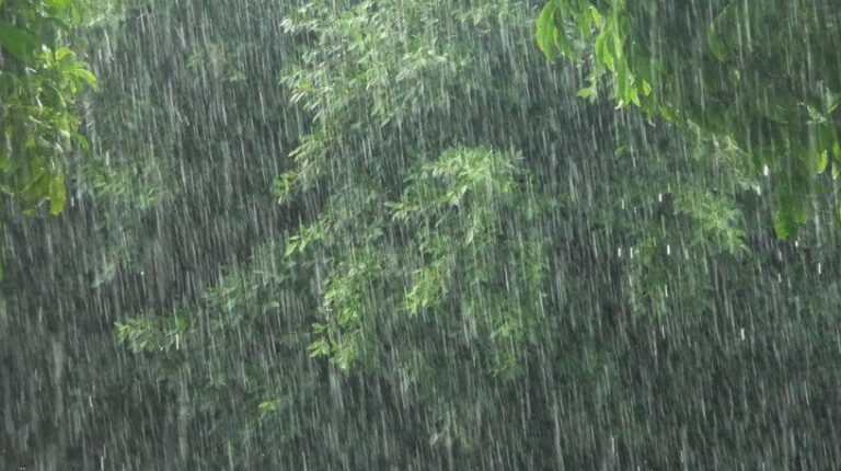 Rain Alert: ರಾಜ್ಯದ ಬಹುತೇಕ ಜಿಲ್ಲೆಗಳಿಗೆ ಯೆಲ್ಲೋ ಅಲರ್ಟ್