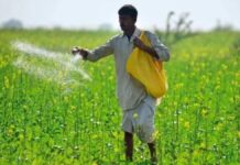 ಅಂಕಣ ಬರಹ: ಗೊಬ್ಬರದ ರಾಜಕೀಯ, ಮಣ್ಣಾದ ರೈತನ ಬದುಕು