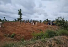 ತುಮಕೂರು: 300 ಎಕರೆ ಅರಣ್ಯ ಭೂಮಿ ಒತ್ತುವರಿ ತೆರವು