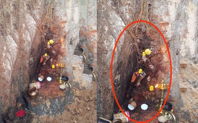 ಅರಳಿ ಮರದಲ್ಲಿ ಹನುಮ ಪ್ರತ್ಯಕ್ಷ: ಹರಿದು ಬಂದ ಸಾವಿರಾರು ಜನ