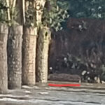 ದಾಂಡೇಲಿ: ಕಾಳಿ ಸೇತುವೆ ರಕ್ಷಣಾ ಗೋಡೆ ನೀರುಪಾಲು! ಭೂಕುಸಿತ