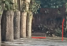 ದಾಂಡೇಲಿ: ಕಾಳಿ ಸೇತುವೆ ರಕ್ಷಣಾ ಗೋಡೆ ನೀರುಪಾಲು! ಭೂಕುಸಿತ