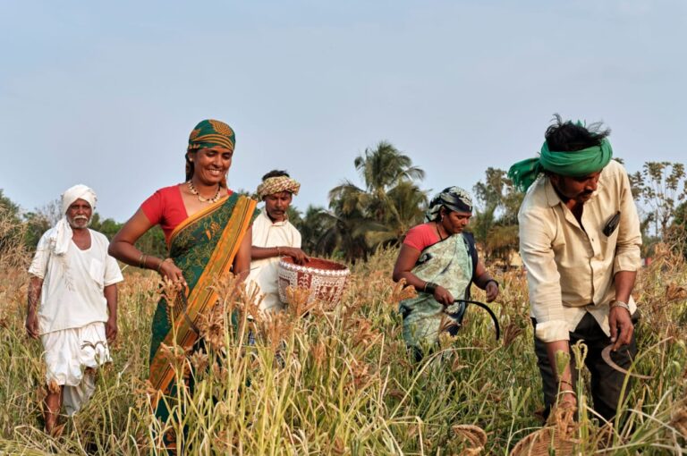 ಧಾರವಾಡ: ಕುಂದಗೋಳದ ಮಹಿಳಾ ಸಂಘಕ್ಕೆ ಅಂತಾರಾಷ್ಟ್ರೀಯ ಮಟ್ಟದ ಪ್ರಶಸ್ತಿ ಗರಿ