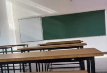 Karnataka Weather: ಕರ್ನಾಟಕದಲ್ಲಿ ಮಳೆ ಅಬ್ಬರ, ಶಾಲೆ-ಕಾಲೇಜುಗಳಿಗೆ ರಜೆ