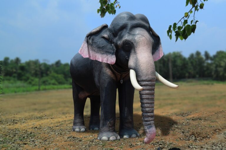 ರವೀನಾ ಟಂಡನ್ ಪುತ್ರಿಯಿಂದ: ಸಾವಿರ ಕಂಬದ ಬಸದಿಗೆ ಯಾಂತ್ರೀಕೃತ ಆನೆ ಕೊಡುಗೆ