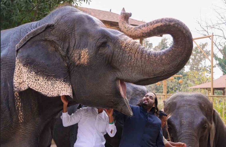 ‘ವಂತಾರಾ’: ಎಸ್ಐಟಿ ತನಿಖೆಗೆ ಸುಪ್ರೀಂ ಕೋರ್ಟ್ ಆದೇಶ