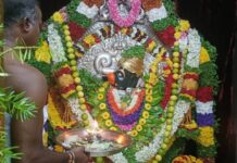 ಮುತ್ತತ್ತಿ ಜಾತ್ರೆಗೆ ಅಪಾರ ಭಕ್ತರು, ತೆಂಗಿನಕಾಯಿ ಹಿಡಿಯುವ ಸ್ಪರ್ಧೆ ಆಕರ್ಷಣೆ