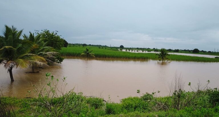 ಏಕಾಏಕಿ ಭೀಮಾನದಿಗೆ ಪ್ರವಾಹ: 9 ಗ್ರಾಮಗಳಿಗೆ ನೀರು ನುಗ್ಗುವ ಭೀತಿ