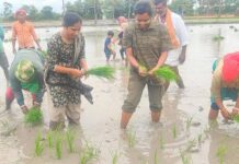 ಚಾಮರಾಜನಗರ: ಮಕ್ಕಳೊಂದಿಗೆ ಗದ್ದೆಗೆ ಇಳಿದು ಭತ್ತ ನಾಟಿ ಮಾಡಿದ ಎಸ್ಪಿ