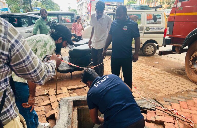 ಮಂಗಳೂರು: ಹೊಂಡಕ್ಕೆ ಬಿದ್ದ ನಾಯಿ – ಪ್ರಾಣಿ ದಯಾ ಸಂಘದ ಸಿಬ್ಬಂದಿಯಿಂದ ರಕ್ಷಣೆ