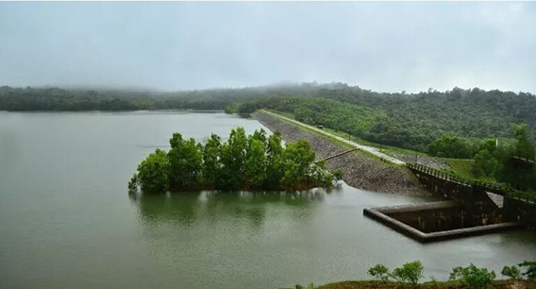 ದಾಂಡೇಲಿ: ಶರಾವತಿ ಪಂಪ್ಡ್ ಸ್ಟೋರೆಜ್‌ನಿಂದ 16041 ಮರಗಳ ನಾಶ