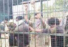 ಚಾಮರಾಜನಗರ: ಹುಲಿ ಬೋನಿನಲ್ಲಿ ಅರಣ್ಯಾಧಿಕಾರಿಗಳನ್ನು ಕೂಡಿ ಹಾಕಿದ ಜನ!