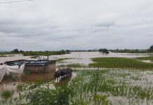 ಯಾದಗಿರಿ: ಮಳೆಗೆ ಬೆಳೆ ಹಾನಿ – ಸಚಿವ ಶರಣಬಸಪ್ಪ ದರ್ಶನಾಪುರ ಮನವಿಗೆ – ಸಿಎಂ  ಸ್ಪಂದನೆ