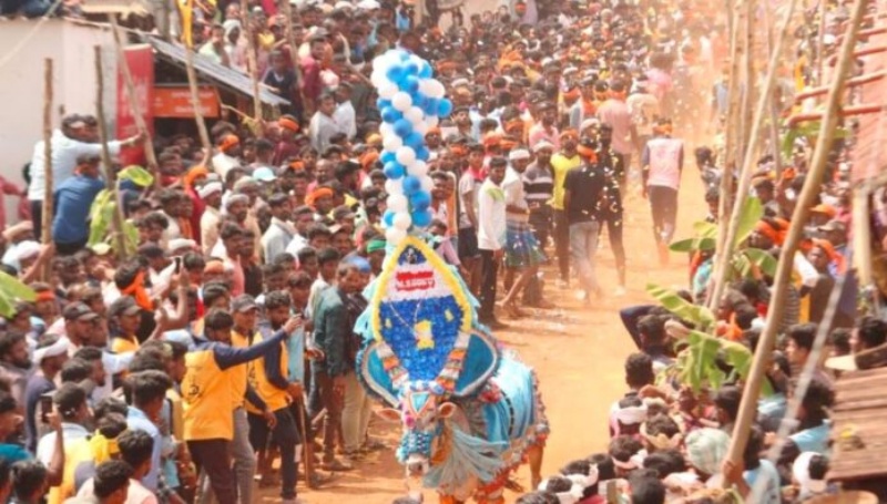 Fourth Death Reported After Bull Attack During Festival in Hanagal