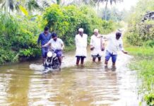 ಮಂಡ್ಯ: ನಾಲೆ ನಿರ್ವಹಣೆ ಕೊರತೆ, ಪೋಲಾಗುತ್ತಿರುವ ನೀರು