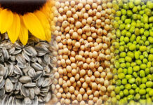 ರೈತರಿಗಾಗಿ ಸಂತಸದ ಸುದ್ದಿ! ಇಂದಿನಿಂದ ಖರೀದಿ ಕೇಂದ್ರ ಆರಂಭ