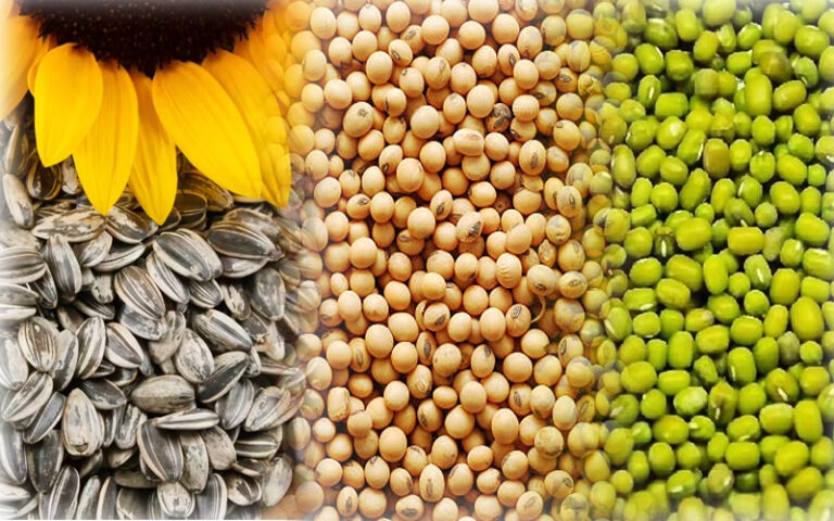 ರೈತರಿಗಾಗಿ ಸಂತಸದ ಸುದ್ದಿ! ಇಂದಿನಿಂದ ಖರೀದಿ ಕೇಂದ್ರ ಆರಂಭ