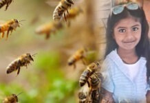 ಮಂಗಳೂರು: ಹೆಜ್ಜೇನು ದಾಳಿಗೆ ಬಾಲಕಿ ಬಲಿ