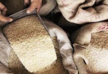 ಪಡಿತರ: ಅಕ್ಕಿ ಜತೆ ಆಹಾರ ಕಿಟ್ ನೀಡಲು ಸಚಿವ ಸಂಪುಟ ನಿರ್ಣಯ