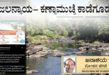ಜಲನ್ಯಾಯ- ಕಣ್ಣಾಮುಚ್ಚೆ ಕಾಡೆಗೂಡೆ