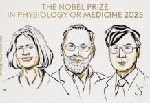 ರೋಗನಿರೋಧಕ ಶಕ್ತಿ ಸಂಶೋಧನೆಗೆ ನೊಬೆಲ್ ಪ್ರಶಸ್ತಿ