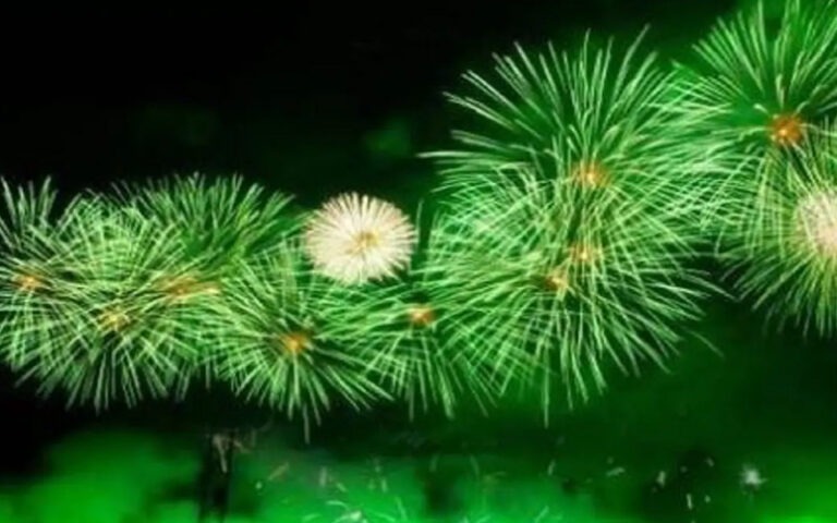 ದೆಹಲಿ ದೀಪಾವಳಿ: ಹಸಿರು ಪಟಾಕಿಗಳಿಗೆ ಸುಪ್ರೀಂ ಅವಕಾಶ