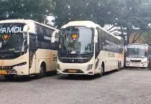 ಸಾರಿಗೆ ಇಲಾಖೆ ಭರ್ಜರಿ ಬೇಟೆ: ಸುರಕ್ಷತೆ ಇಲ್ಲದ 35 ಪ್ರವಾಸಿ ಬಸ್ ವಶ