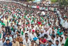 ಕಬ್ಬಿನ ಕಣದಲ್ಲಿ ರೈತರ ಘರ್ಜನೆ: ಸ್ತಬ್ಧವಾದ ಸಕ್ಕರೆ ನಾಡು