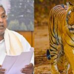 ಹುಲಿ Vs. ಸರ್ಕಾರ: ಕಾಡಂಚಿನ ಗ್ರಾಮಗಳ ರಕ್ಷಣೆಗೆ ‘ತಡೆಗೋಡೆ’ ಅಸ್ತ್ರ, ಸಿಎಂ ಮಹತ್ವದ ಘೋಷಣೆ!