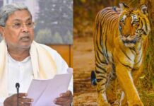 ಹುಲಿ Vs. ಸರ್ಕಾರ: ಕಾಡಂಚಿನ ಗ್ರಾಮಗಳ ರಕ್ಷಣೆಗೆ ‘ತಡೆಗೋಡೆ’ ಅಸ್ತ್ರ, ಸಿಎಂ ಮಹತ್ವದ ಘೋಷಣೆ!